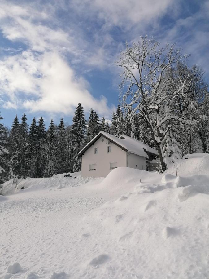 Ferienhaus Ploeckenstein Schwarzenberg am Bohmerwald Exterior foto