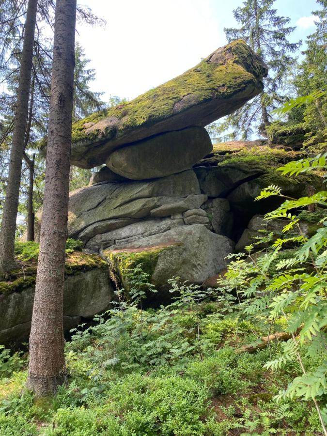 Ferienhaus Ploeckenstein Schwarzenberg am Bohmerwald Exterior foto